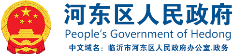 河东区人民政府